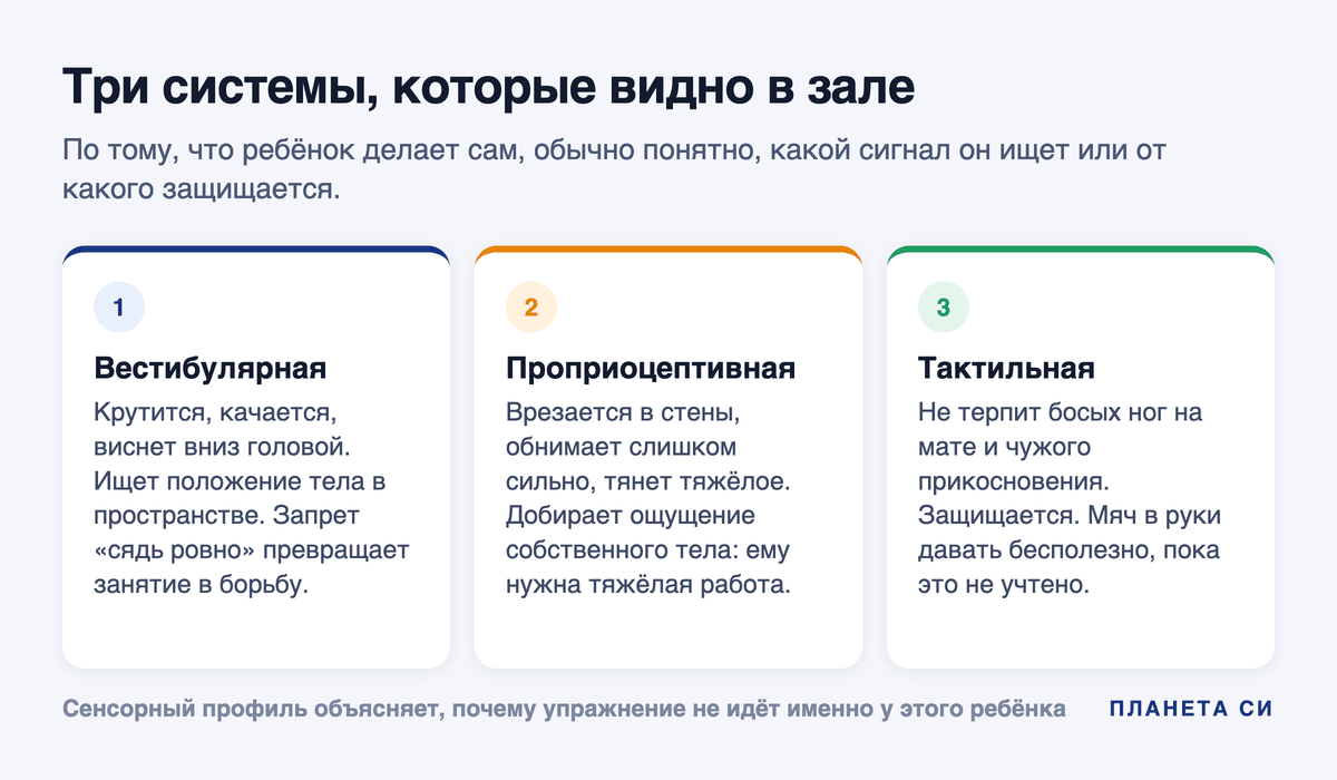 Схема: вестибулярная, проприоцептивная и тактильная системы - что ребёнок делает в зале и что за этим стоит