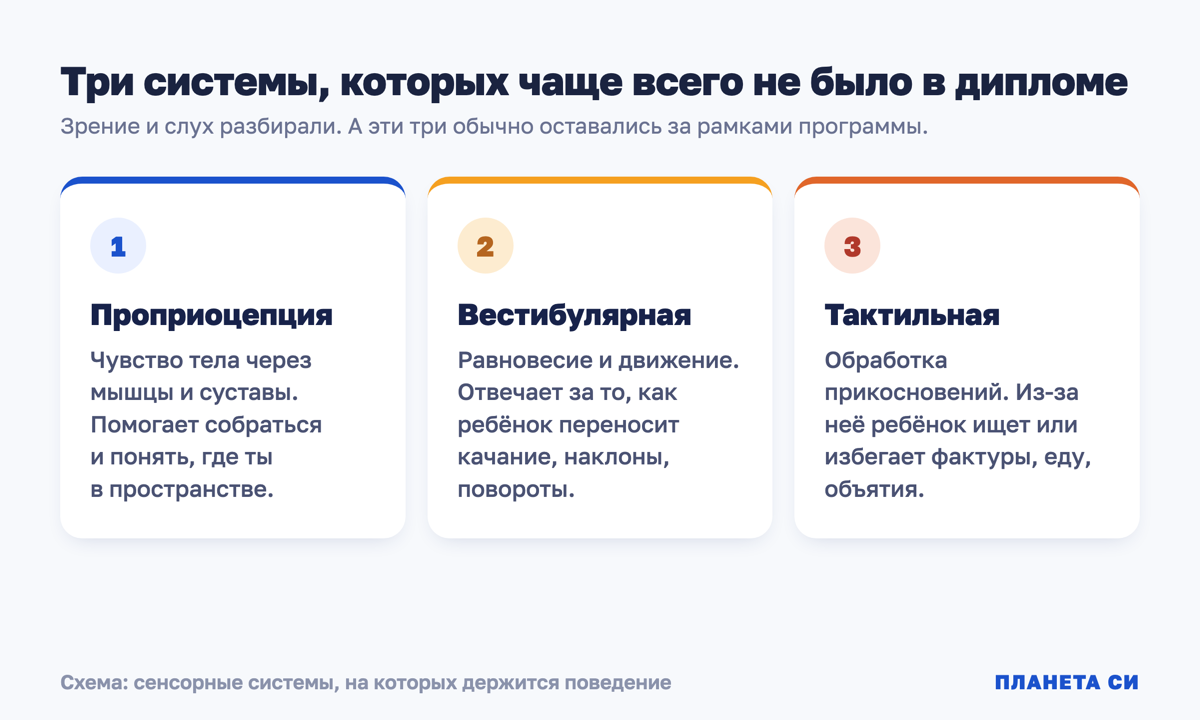 Схема: три сенсорные системы, которых не было в программе вуза — проприоцепция, вестибулярная, тактильная
